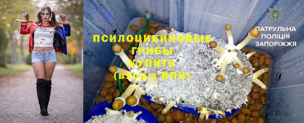 молекула духа Алексеевка