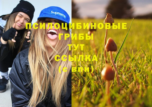 молекула духа Алексеевка