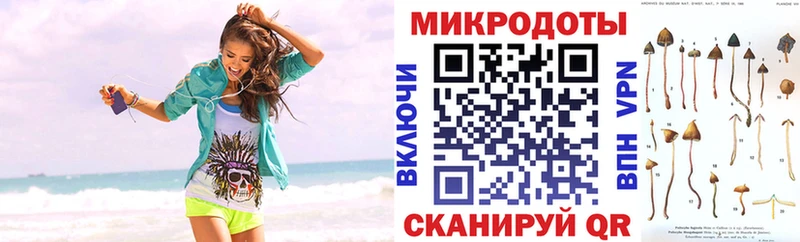 Галлюциногенные грибы Psilocybe Брюховецкая